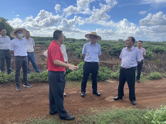 雙層機械停車位 雙層機械停車位
