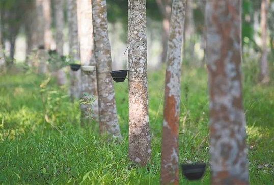 機械車位 機械車位